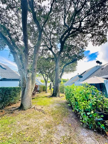 a view of a yard with plants and large trees