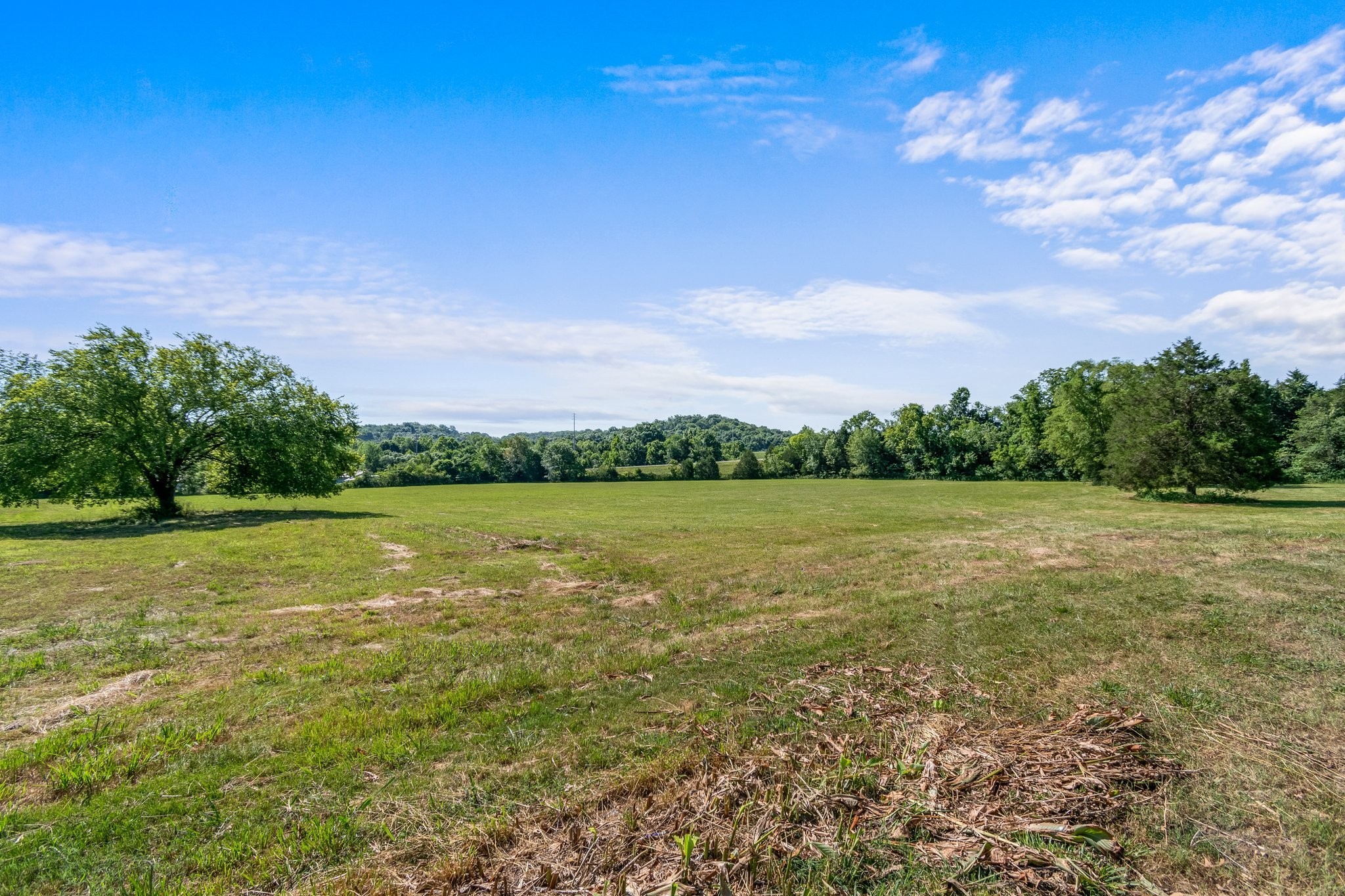 4767 Peytonsville Road Franklin, TN 37064 - Photo 32 of 35 a view of a field with an ocean