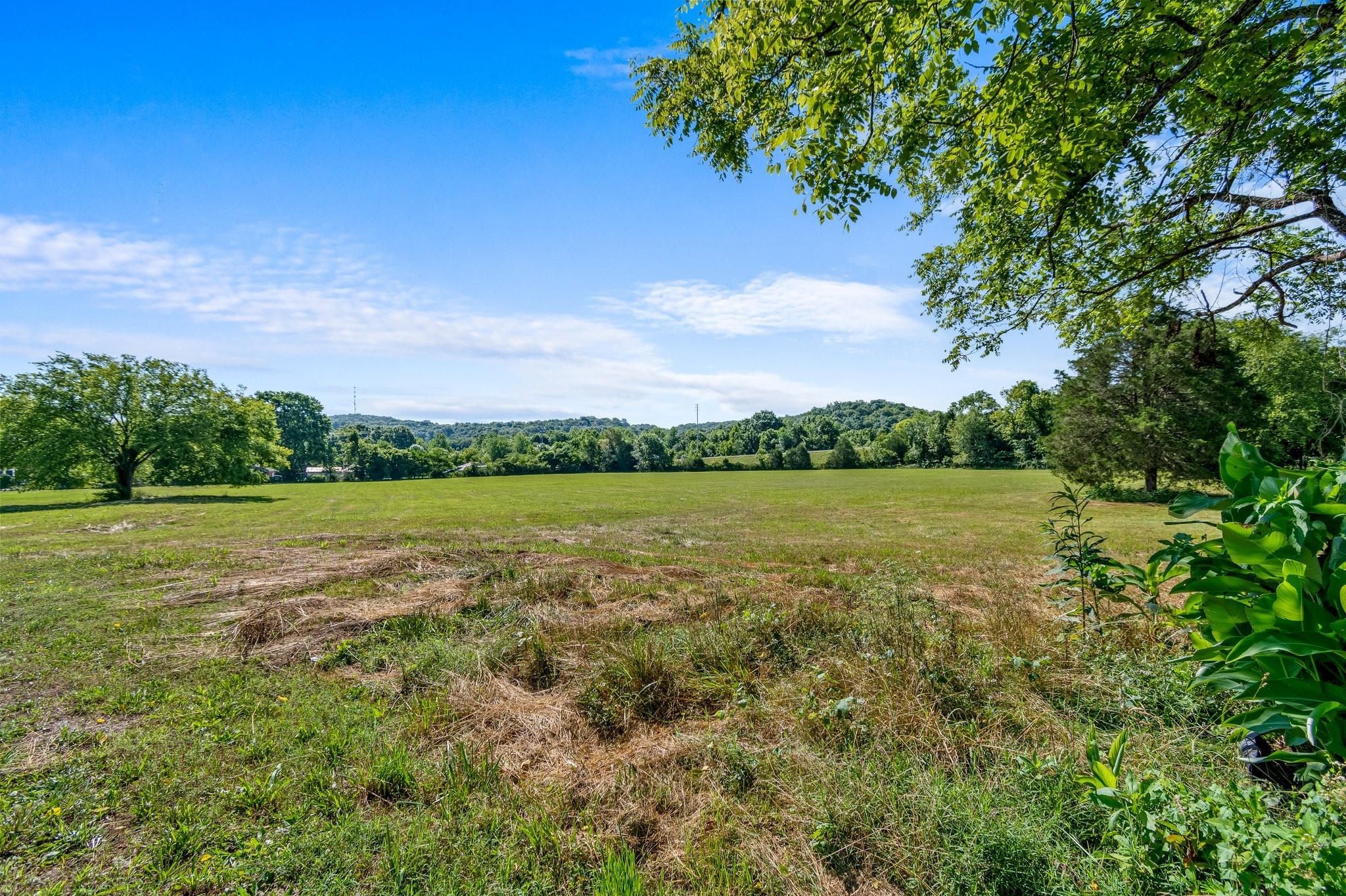4767 Peytonsville Road Franklin, TN 37064 - Photo 34 of 35 a view of a lake from a yard