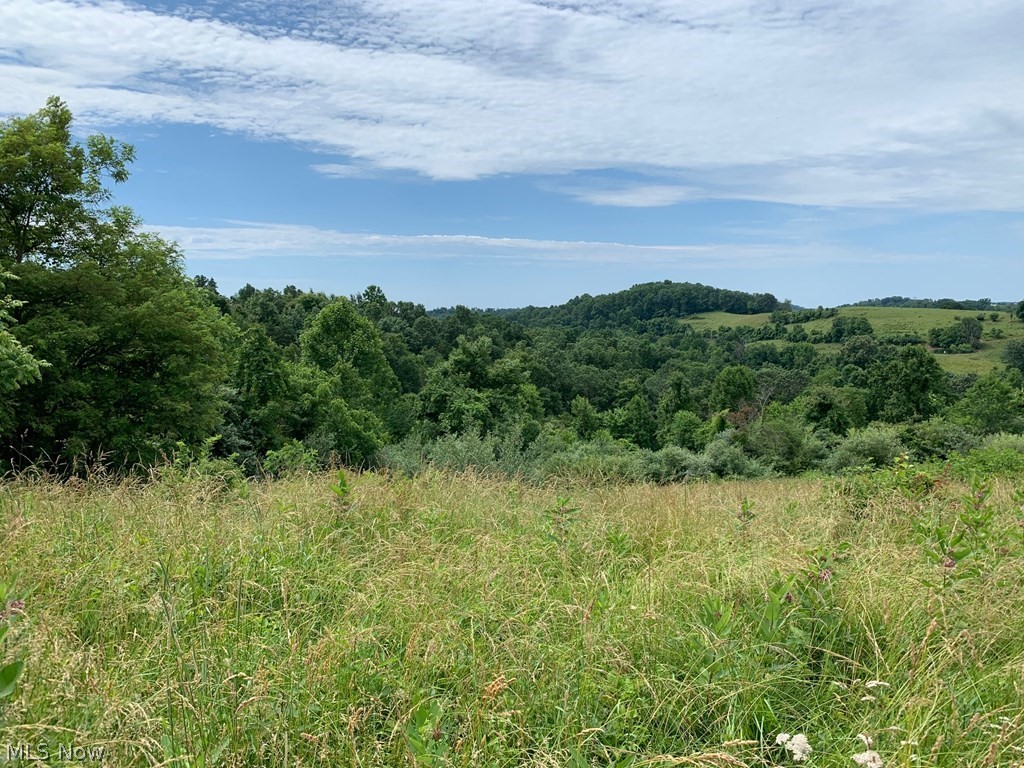 679 A Gates Ridge Road Rockport, WV 26169 - Photo 6 of 24