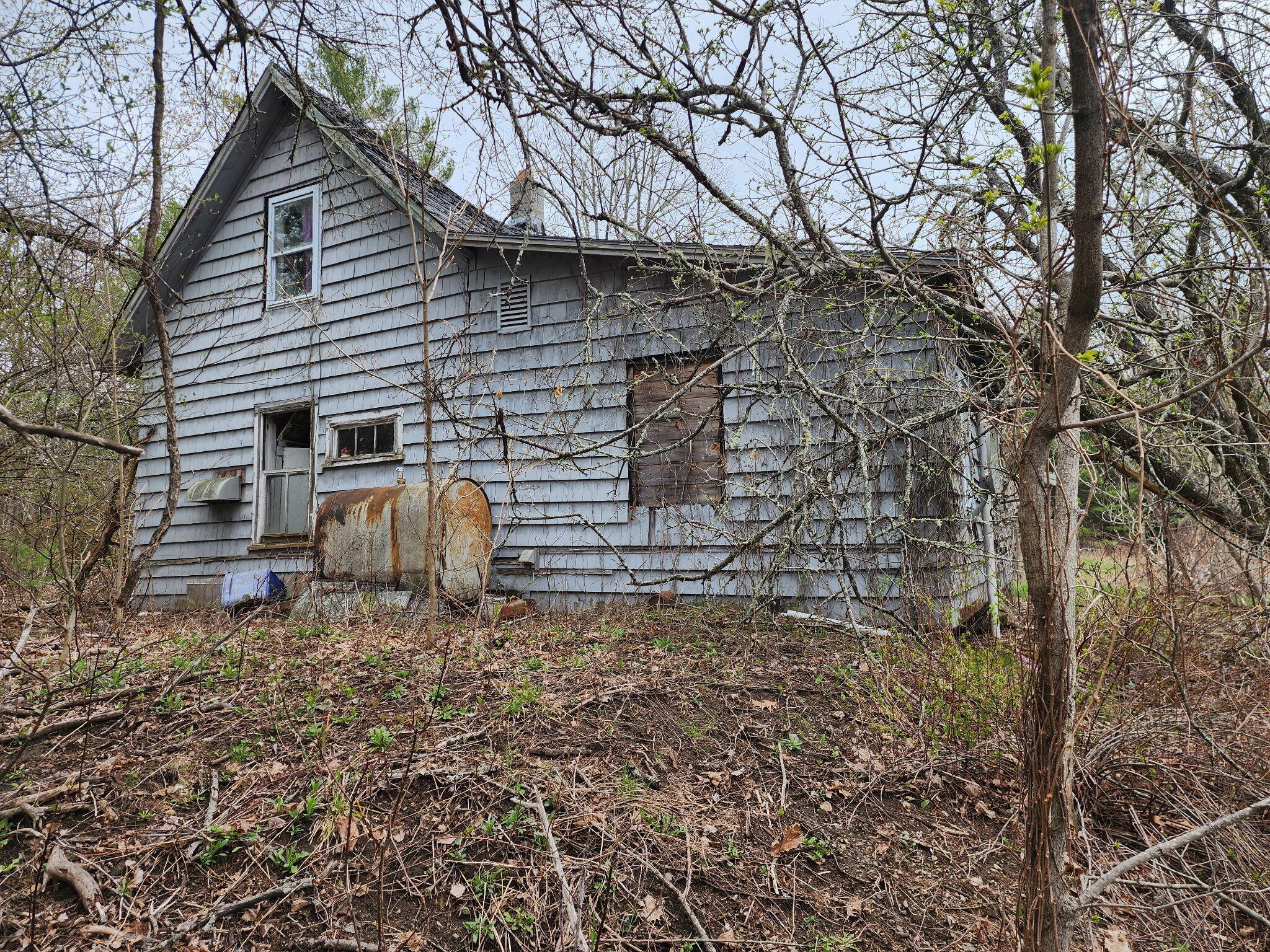 71 Rebel Hill Road Clifton, ME 04428 - Photo 3 of 7 1000015802