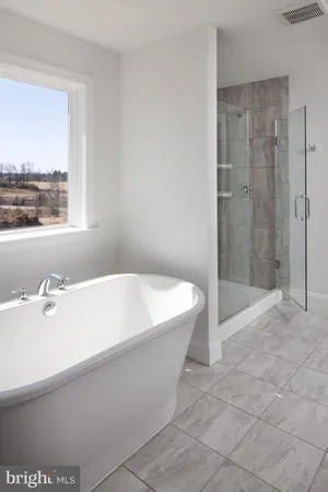 a bathroom with a bathtub and shower