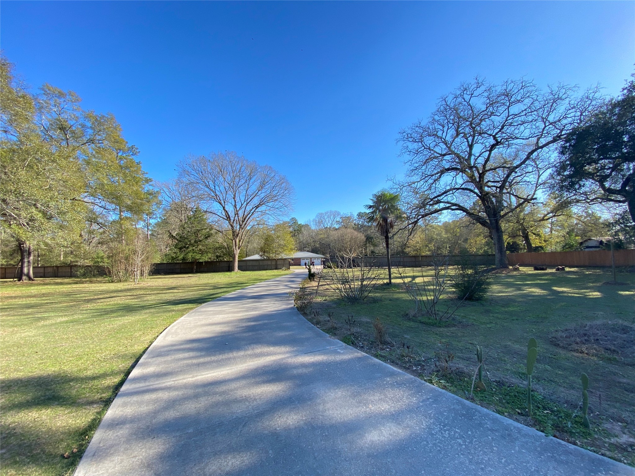 2581 Mann Road Conroe, TX 77303 - Photo 13 of 34 a view of yard with swimming pool and green space