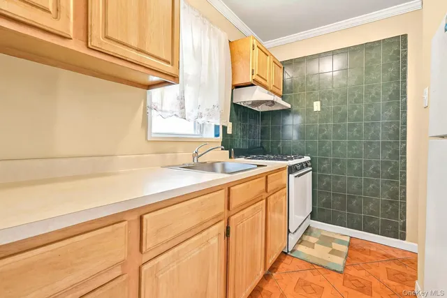 a bathroom with a sink and a shower