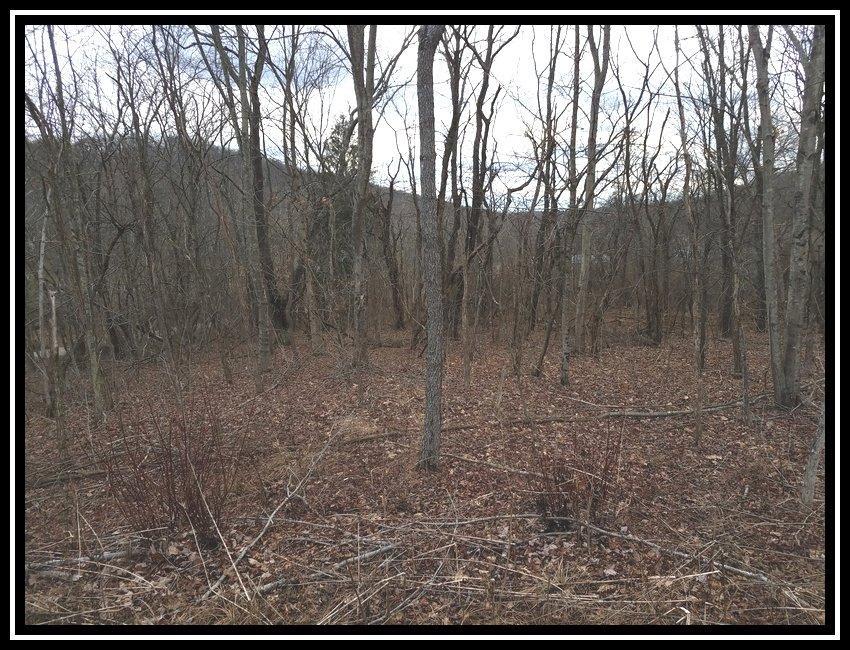653 George Hollow Road Waverly, OH 45690 - Photo 26 of 27