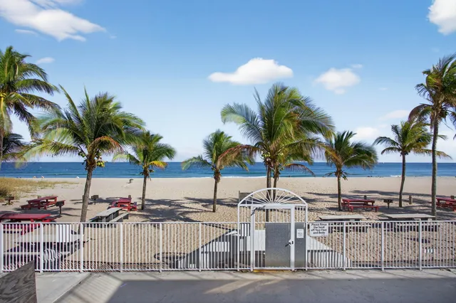 a view of a water with palm trees