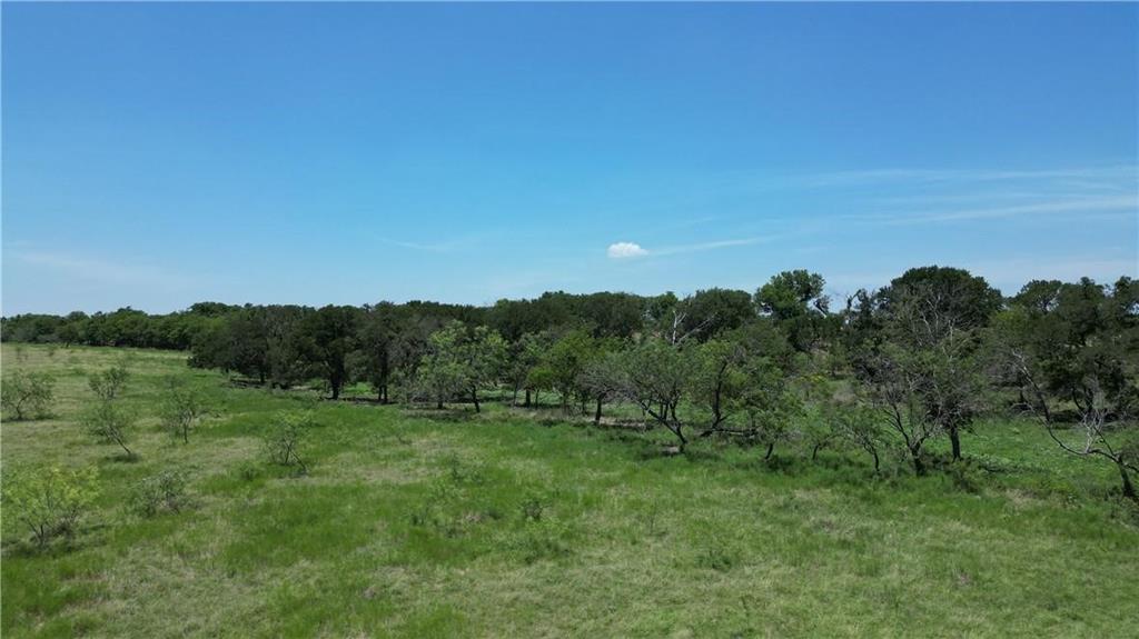 151 Riesel Tx 76682 Riesel, TX 76682 - Photo 7 of 9