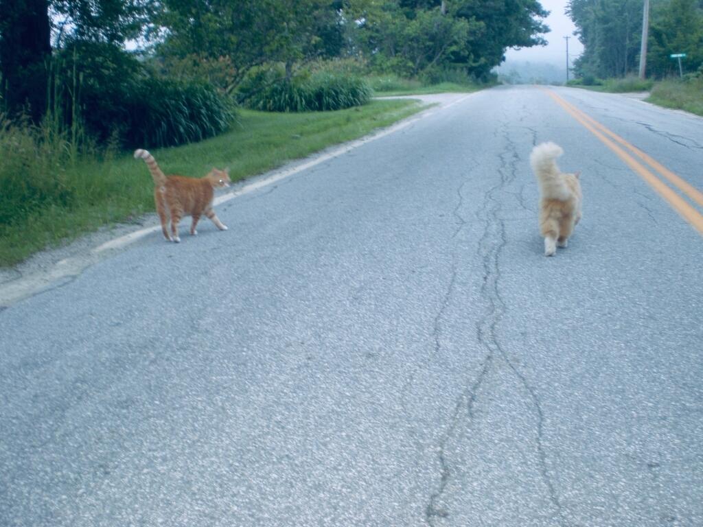 1499 Coastal Road Brooksville, ME 04617 - Photo 25 of 34 25-Coastal Road