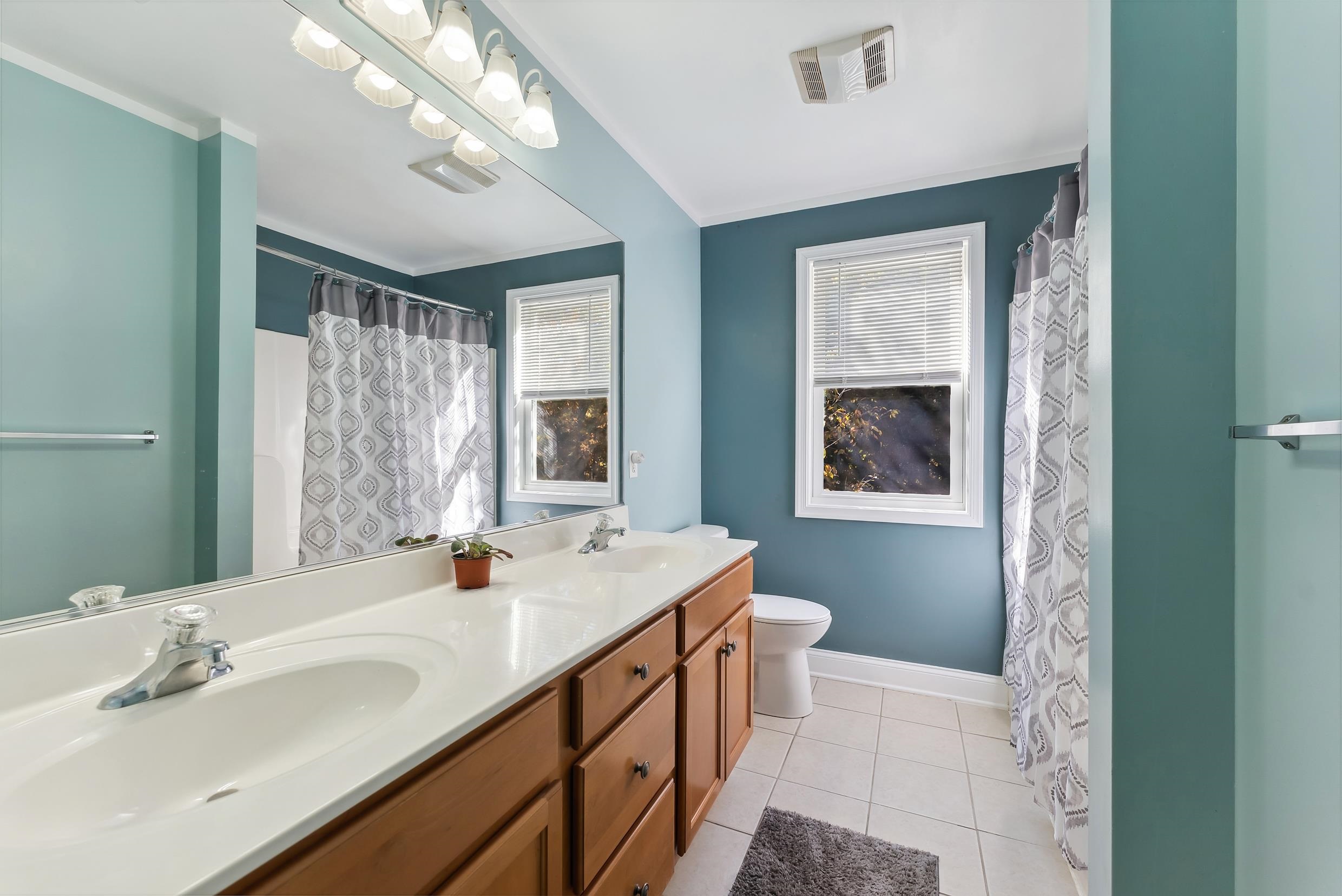4 Mockingbird Woodbine, NJ 08270 - Photo 24 of 40 a bathroom with a sink a vanity and a mirror