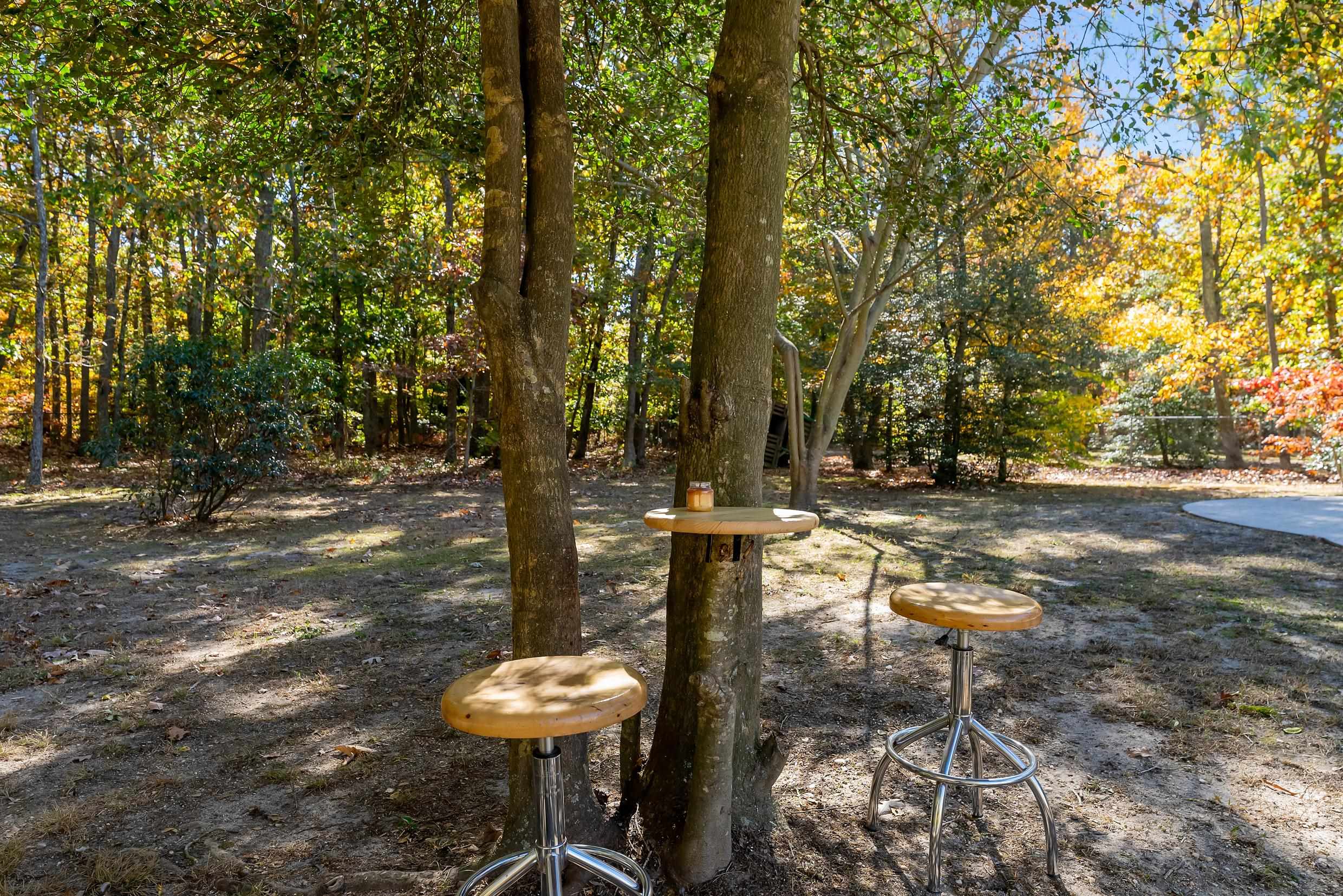 4 Mockingbird Woodbine, NJ 08270 - Photo 36 of 40 a view of a yard with plants and trees
