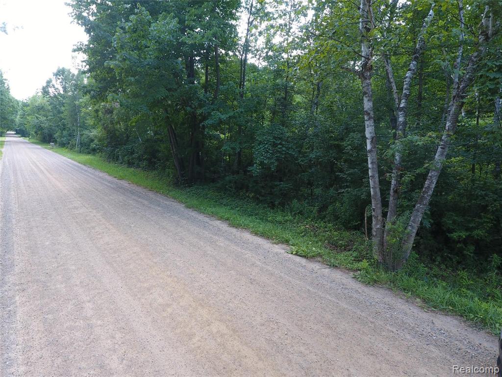 Five 5 Lakes Road North Branch, MI 48461 - Photo 12 of 12
