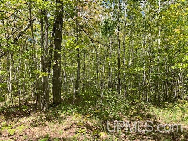2 Boundary Road Chassell, MI 49916 - Photo 46 of 77