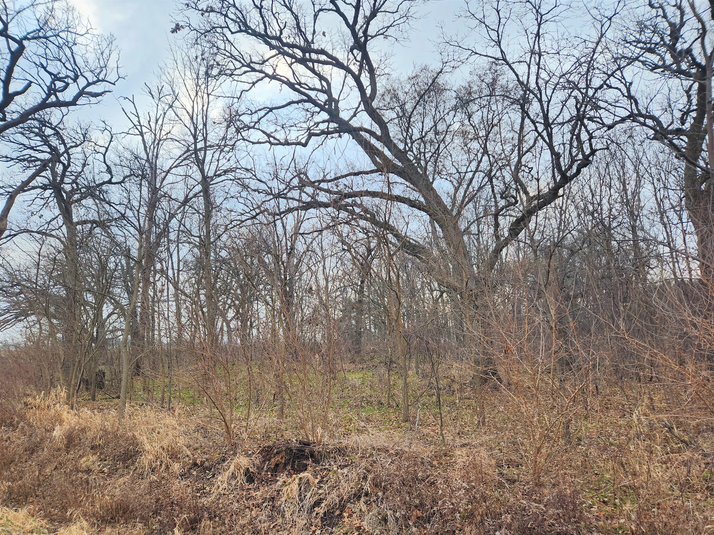 Lot 1 Ramm Road Maple Park, IL 60151 - Photo 7 of 11 a backyard of a house with lots of green space and fog