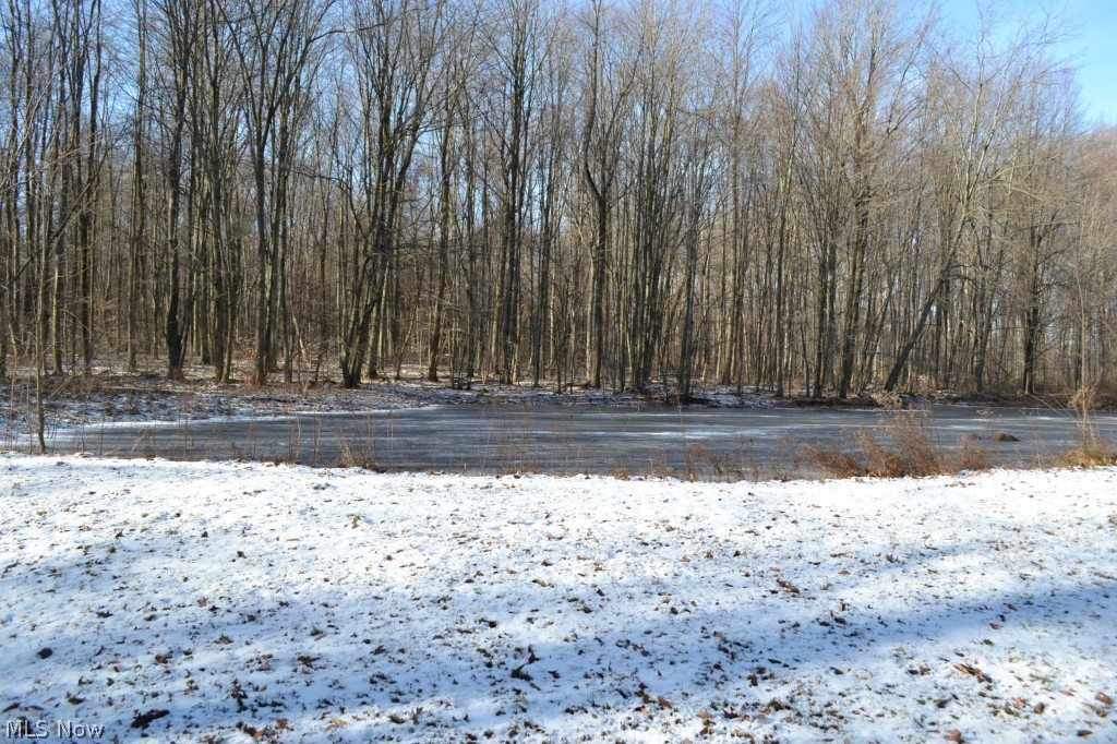 16550 Valley Road Chagrin Falls, OH 44023 - Photo 20 of 25
