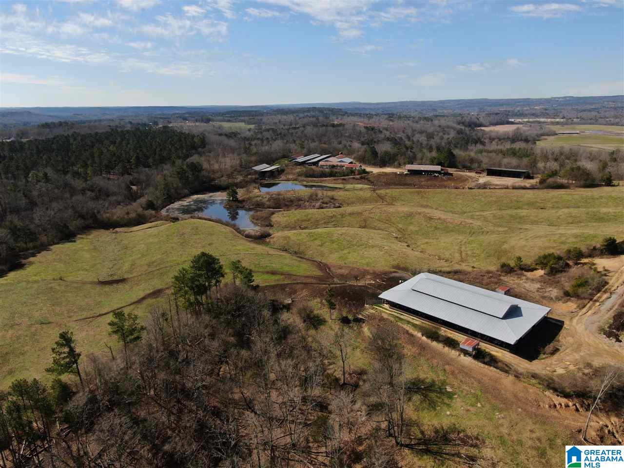 79 Highway 79 Cleveland, AL 35049 - Photo 8 of 36