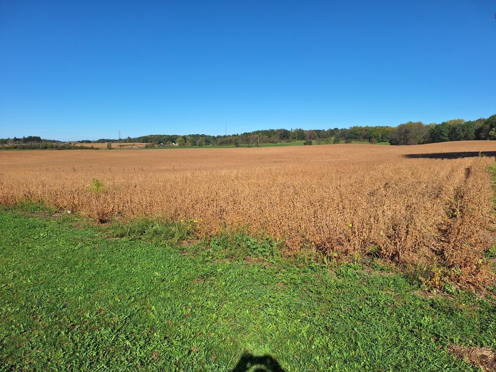 0 East County Rd Y Viroqua, WI 54665 - Photo 3 of 3 Resized952025100795104717