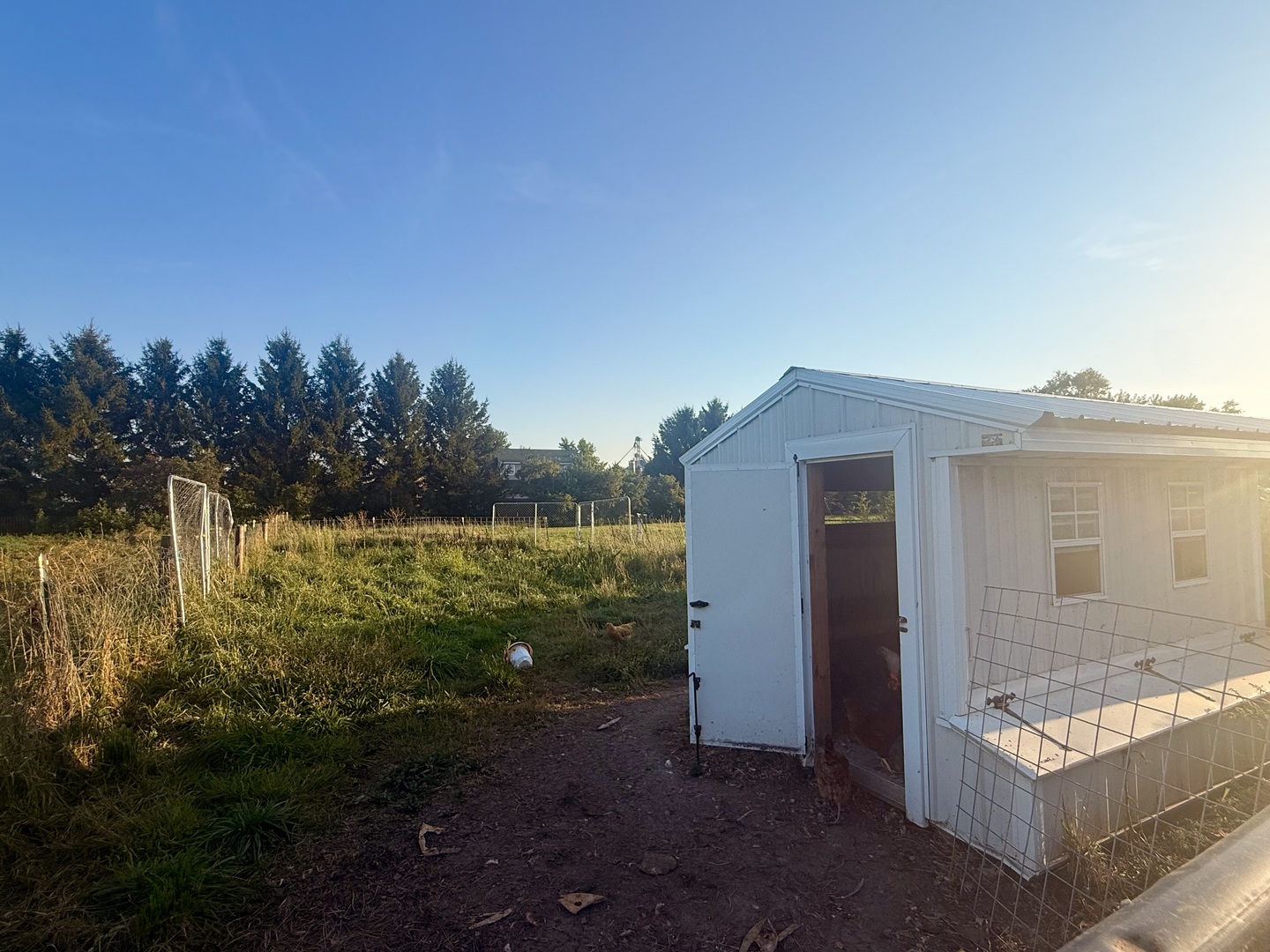 652 Paw Paw Road Paw Paw, IL 61353 - Photo 4 of 14 Gallery Image 4