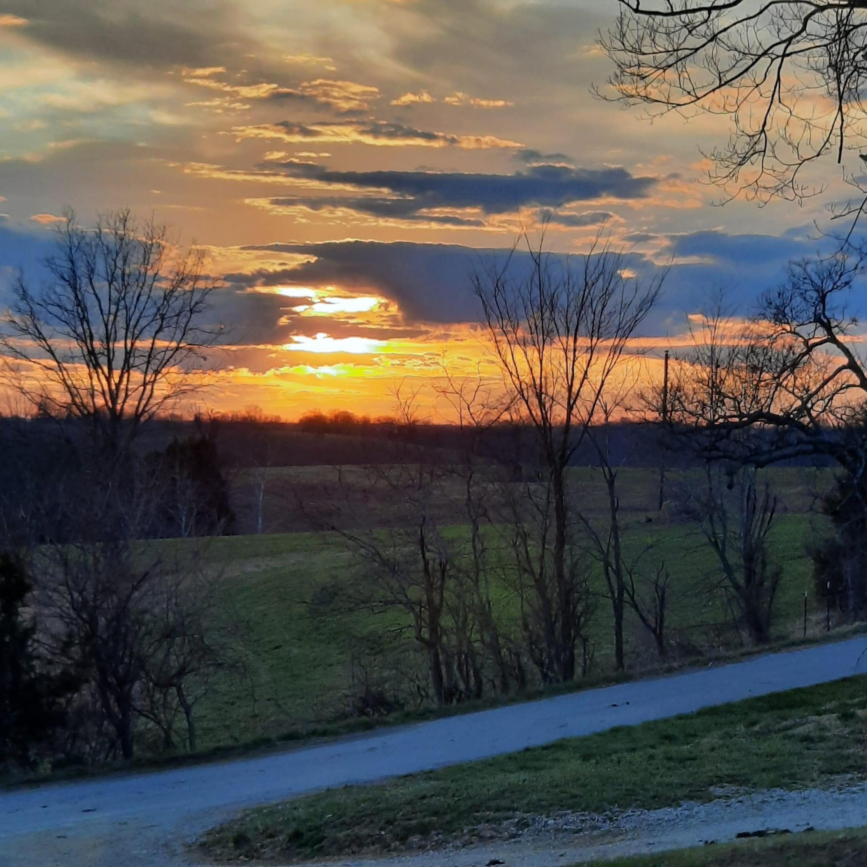 2440 Morgans Road Owenton, KY 40359 - Photo 18 of 19 Gallery Image 18