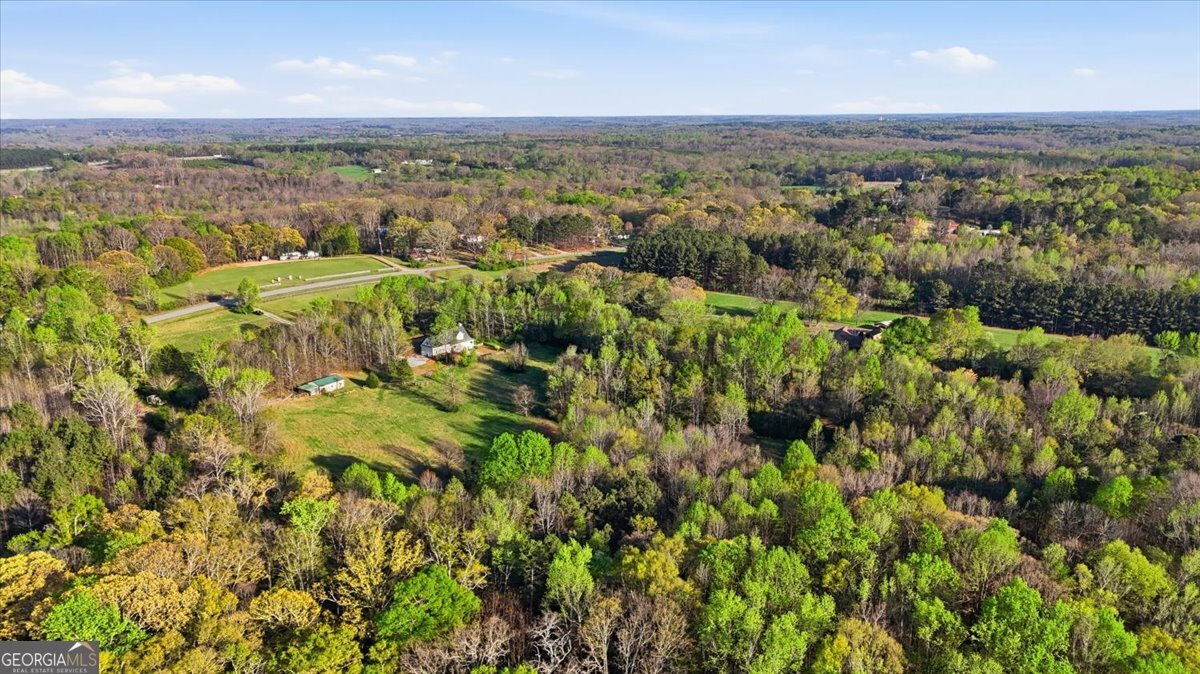 1192 Old Kings Bridge Road Nicholson, GA 30565 - Photo 54 of 61