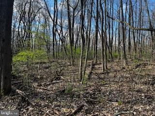 0 Apple Way St. Thomas, PA 17252 - Photo 11 of 27