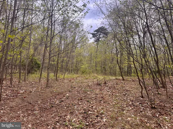a backyard of a house with lots of trees