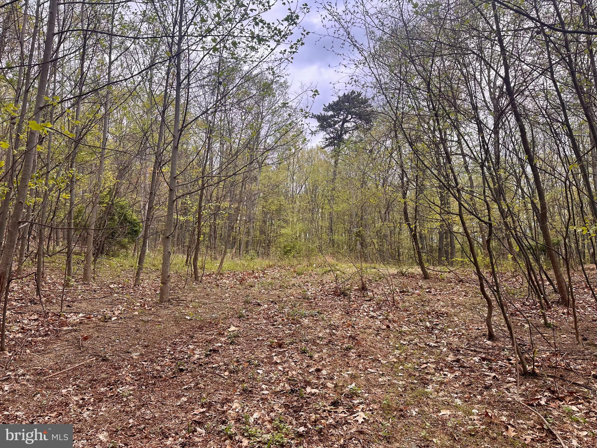 0 Apple Way St. Thomas, PA 17252 - Photo 15 of 27 a view of a yard