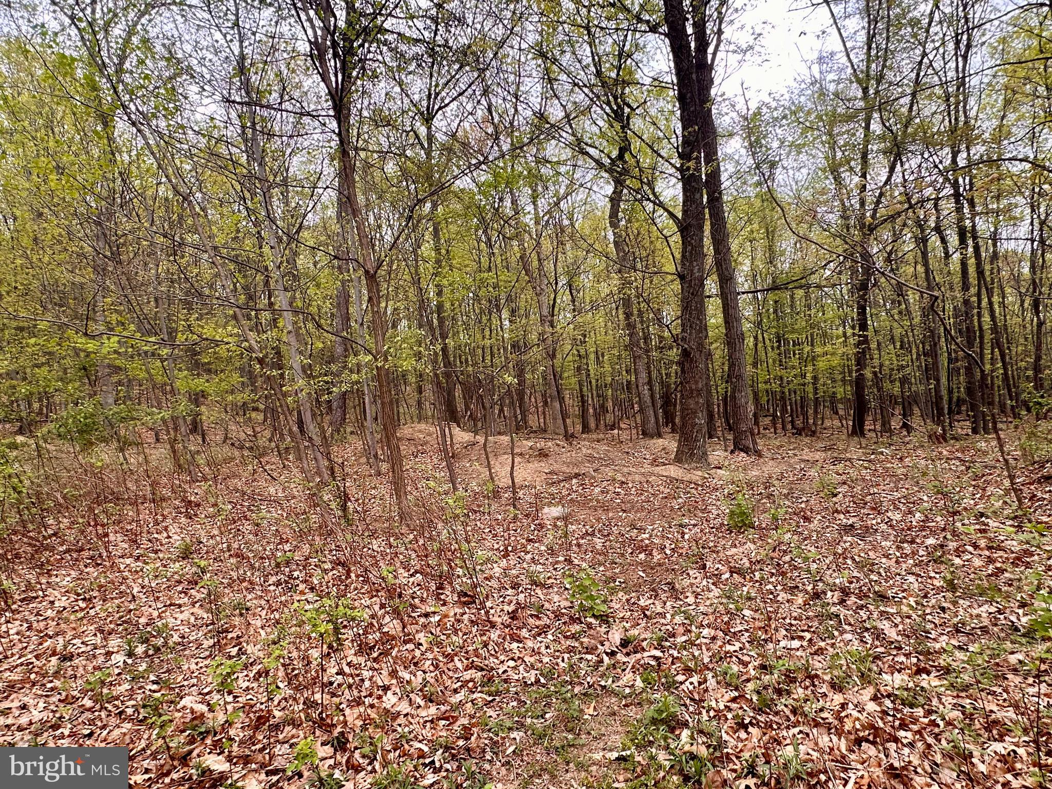 0 Apple Way St. Thomas, PA 17252 - Photo 17 of 27 a view of backyard with green space