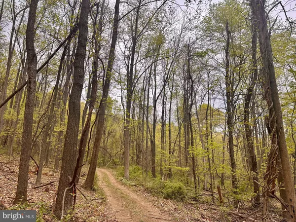 a view of covered with snow
