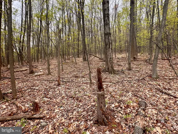 a view of a door and an outdoor space