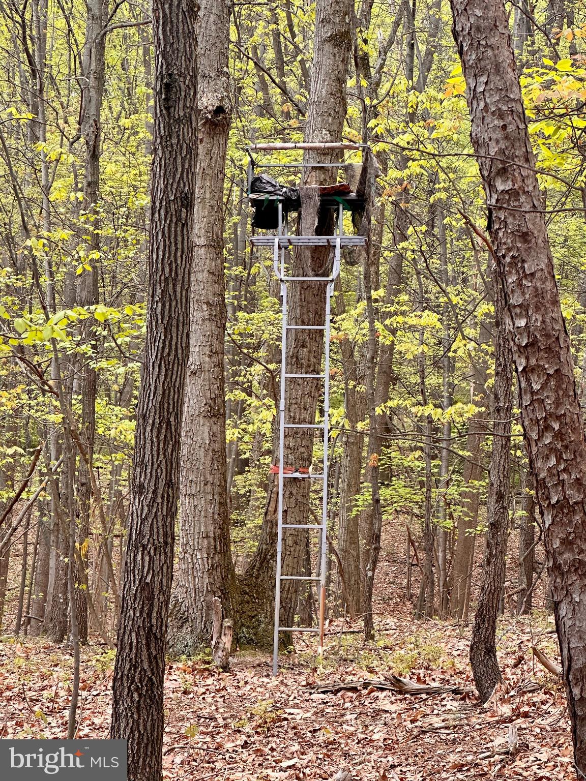 0 Apple Way St. Thomas, PA 17252 - Photo 23 of 27 a view of a door and an outdoor space