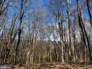 0 Apple Way St. Thomas, PA 17252 - Photo 24 of 27 a view of lots of trees