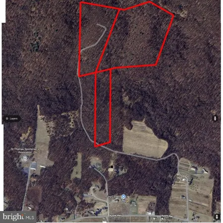 a view of backyard with wooden fence and large trees