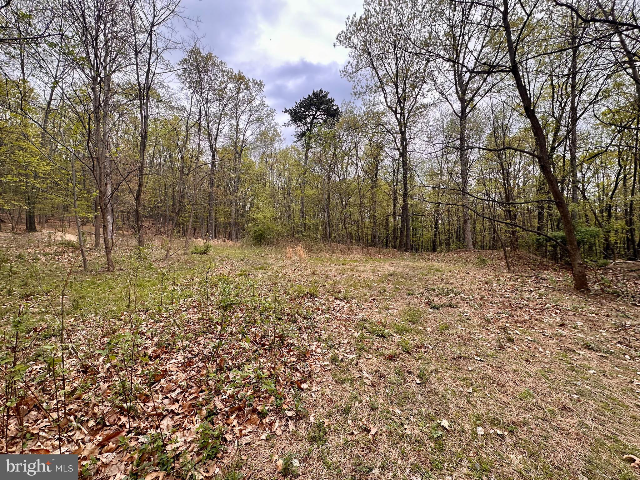 0 Apple Way St. Thomas, PA 17252 - Photo 5 of 27 a view of empty room with trees