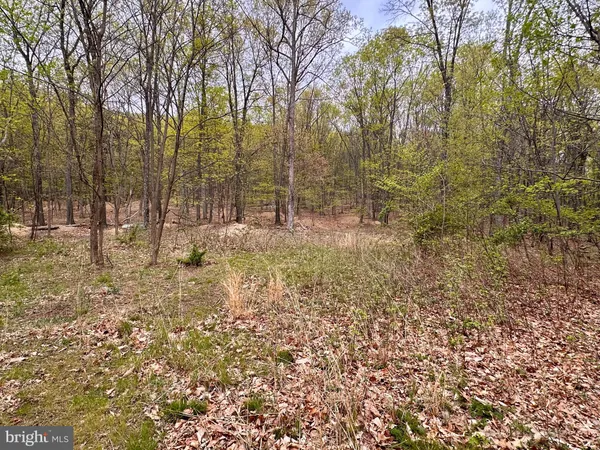a backyard of a house with lots of trees