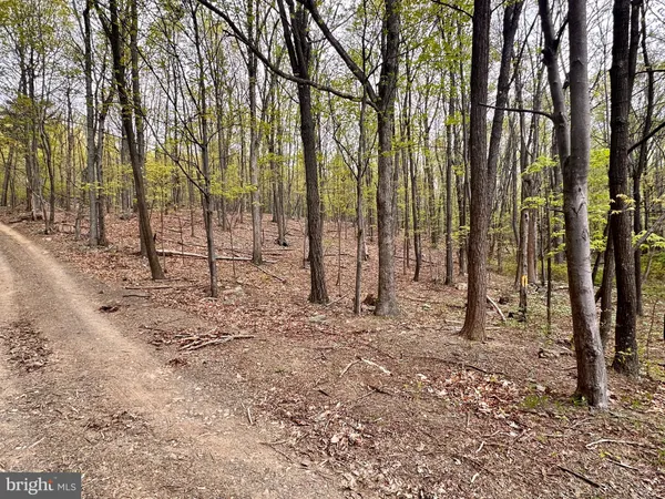 a view of outdoor space with lots of trees