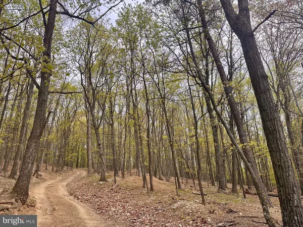 a view of a backyard of the house