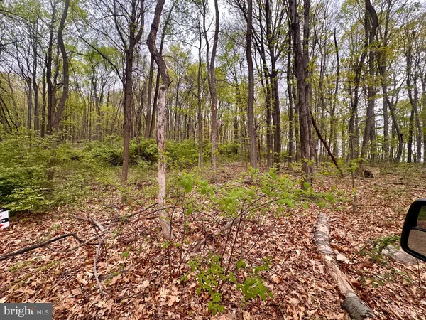 a view of an outdoor space