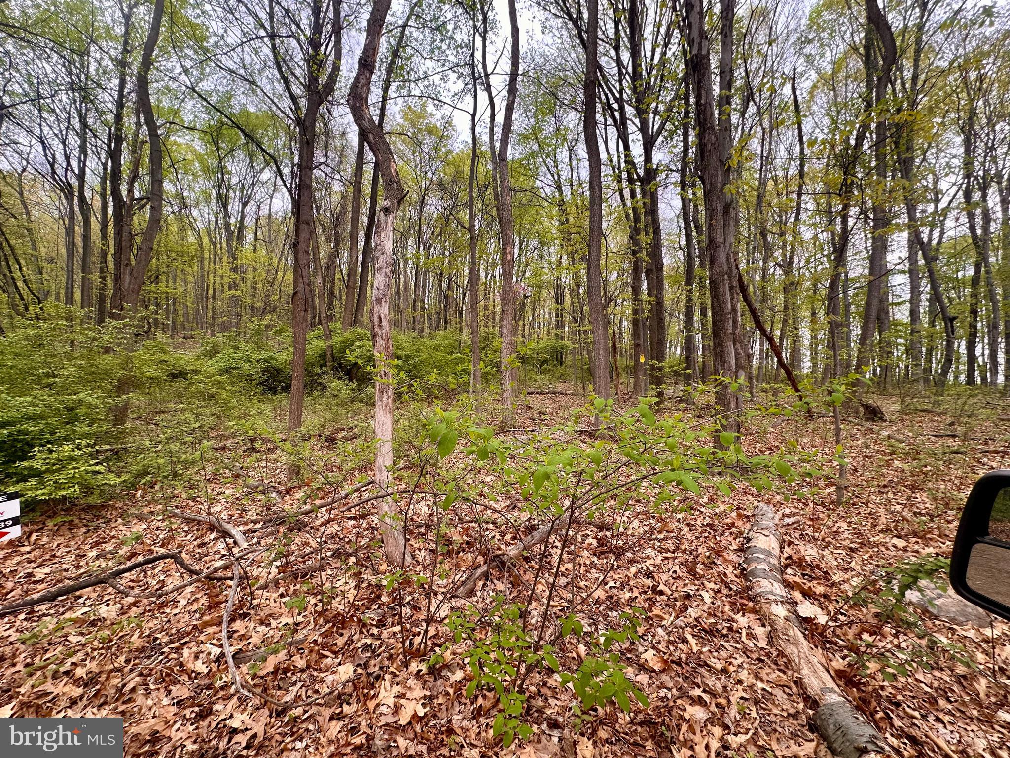 0 Apple Way St. Thomas, PA 17252 - Photo 10 of 27 a backyard of a house with lots of green space