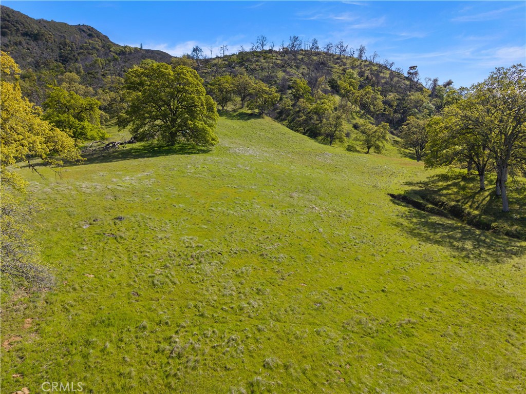 10950 Bachelor Valley Road Upper Lake, CA 95493 - Photo 11 of 28 a view of an ocean