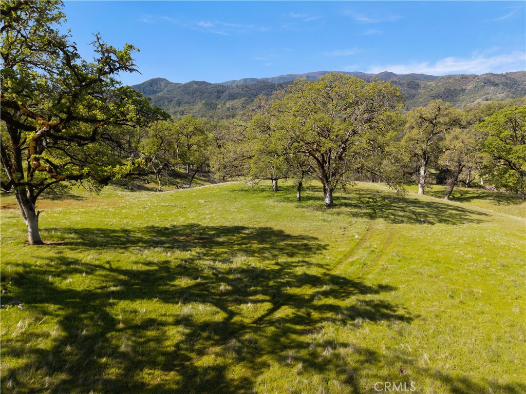 10950 Bachelor Valley Road Upper Lake, CA 95493 - Photo 13 of 28 a view of an ocean