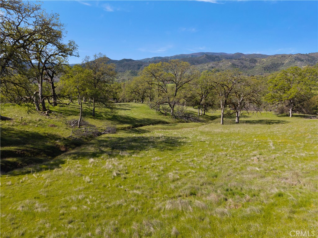 10950 Bachelor Valley Road Upper Lake, CA 95493 - Photo 14 of 28 a view of an ocean from a mountain