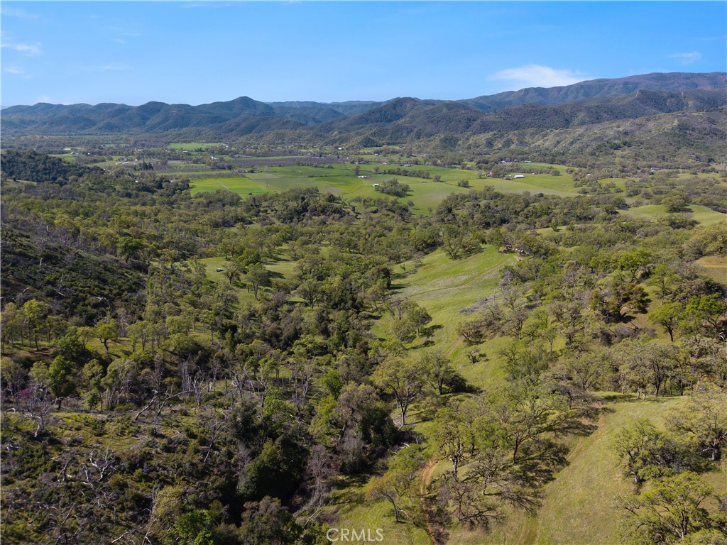 10950 Bachelor Valley Road Upper Lake, CA 95493 - Photo 16 of 28 a view of a lush green hillside and houses