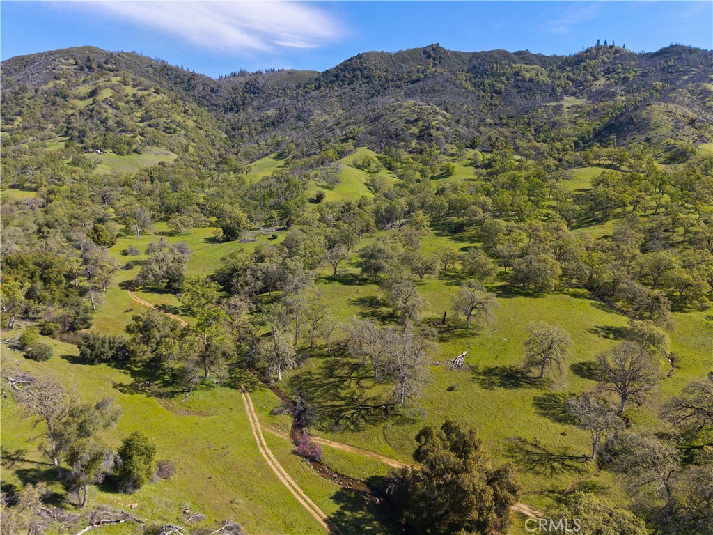 10950 Bachelor Valley Road Upper Lake, CA 95493 - Photo 18 of 28 a view of a lake with a mountain