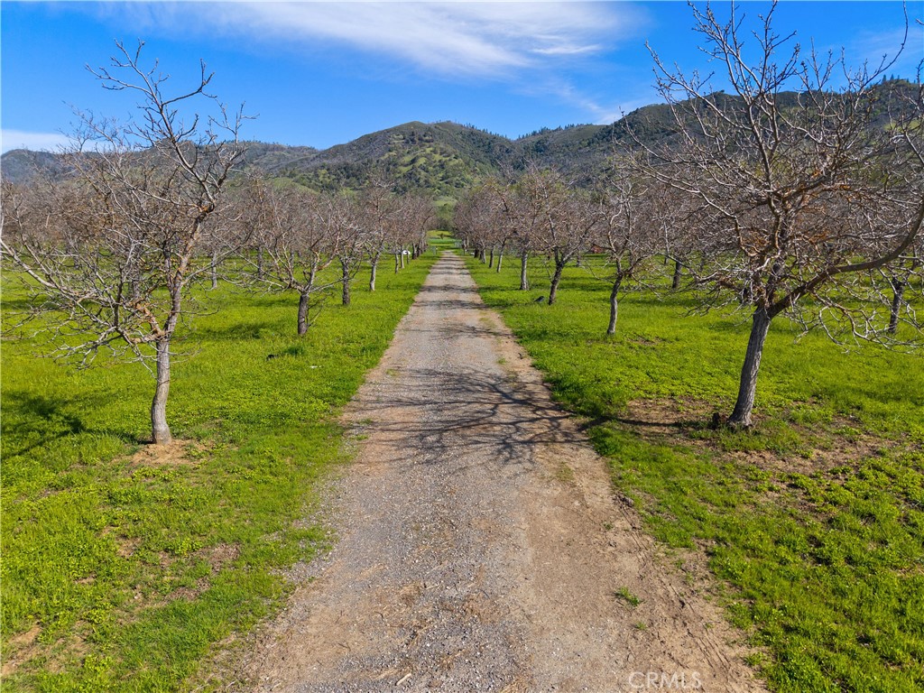10950 Bachelor Valley Road Upper Lake, CA 95493 - Photo 20 of 28 a view of a road with a big yard