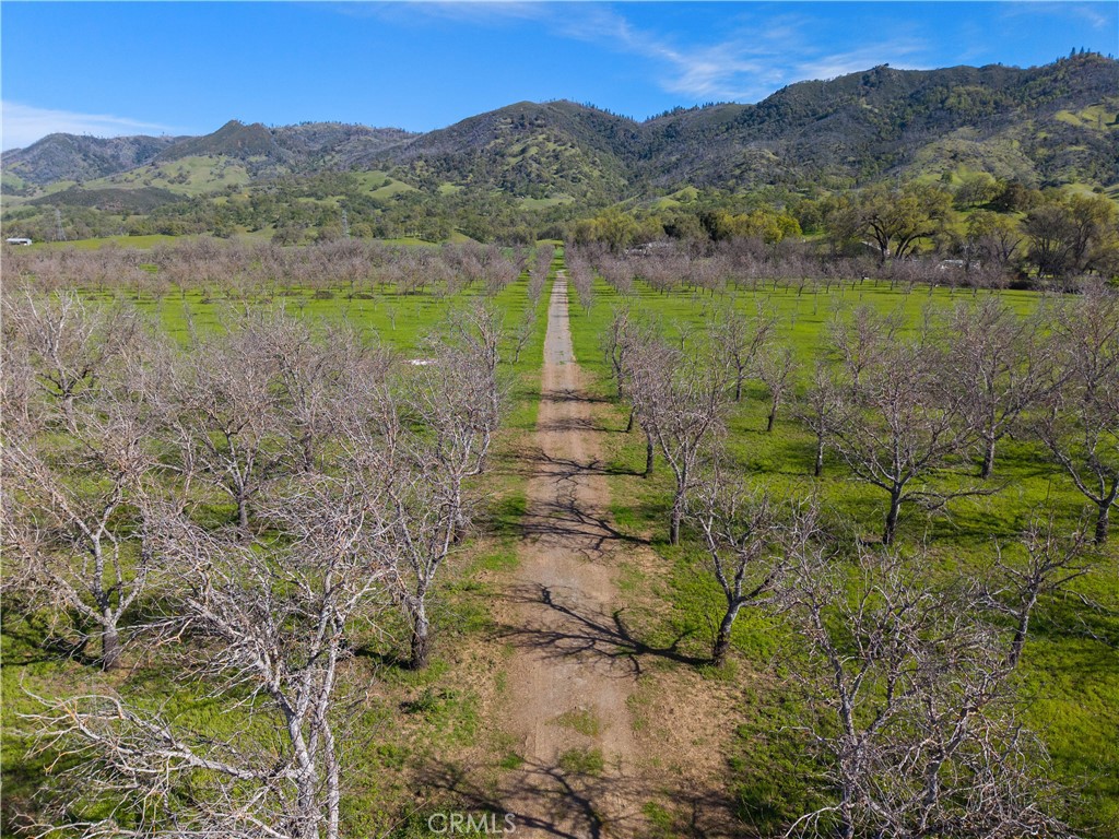 10950 Bachelor Valley Road Upper Lake, CA 95493 - Photo 21 of 28 a view of a lush green hillside and houses