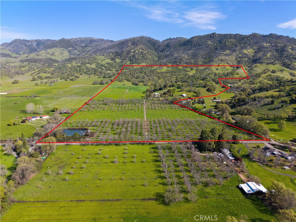 10950 Bachelor Valley Road Upper Lake, CA 95493 - Photo 24 of 28 a view of a lush green hillside and houses