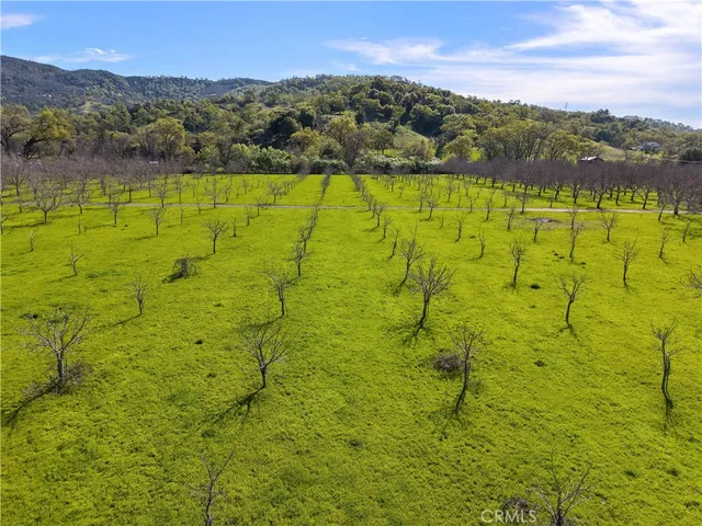 a view of an ocean from a yard