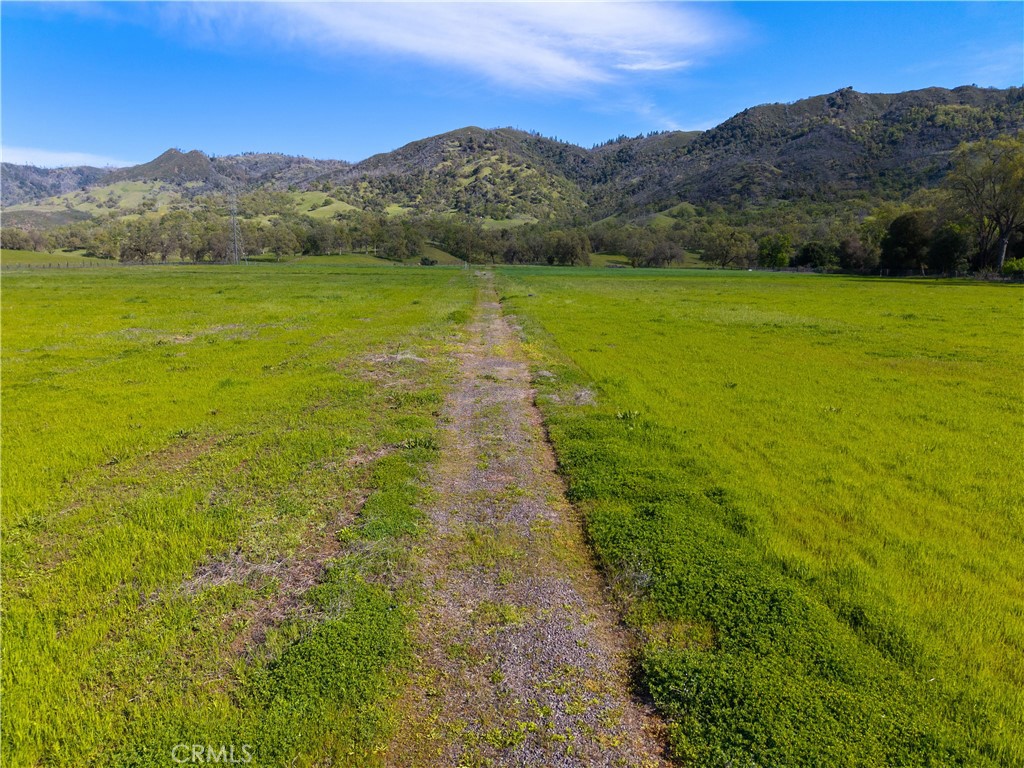 10950 Bachelor Valley Road Upper Lake, CA 95493 - Photo 5 of 28 a view of an outdoor space and a yard
