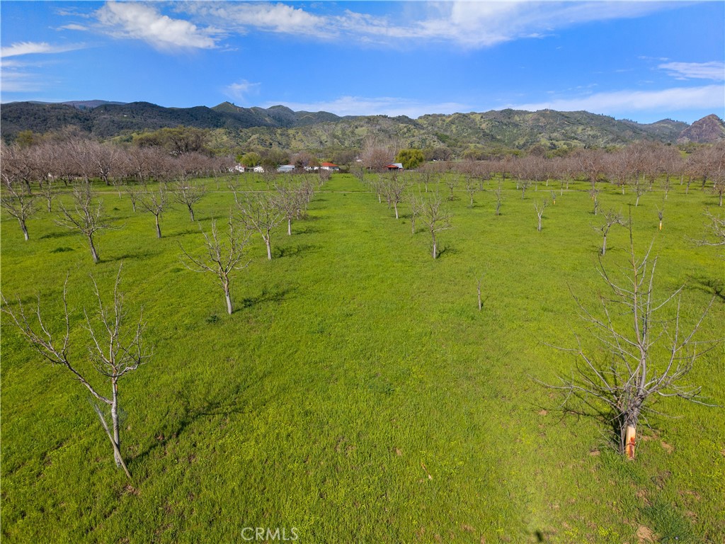 10950 Bachelor Valley Road Upper Lake, CA 95493 - Photo 6 of 28 a view of an ocean from a yard