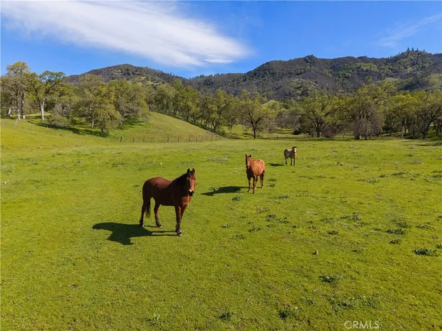 a view of a field with an ocean view